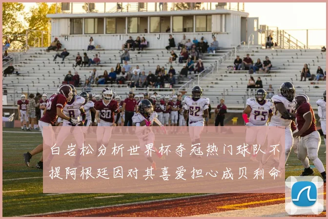 白岩松分析世界杯夺冠热门球队不提阿根廷因对其喜爱担心成贝利命运