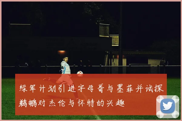 绿军计划引进字母哥与墨菲并试探鹈鹕对杰伦与怀特的兴趣